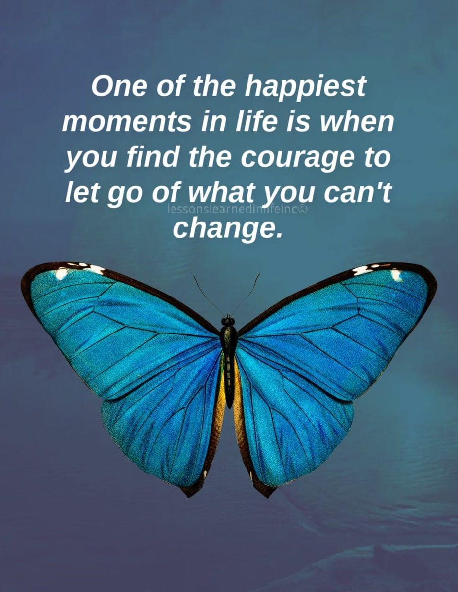 danielhammonds0's tweet image. 