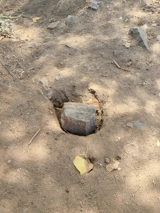 found a korok irl