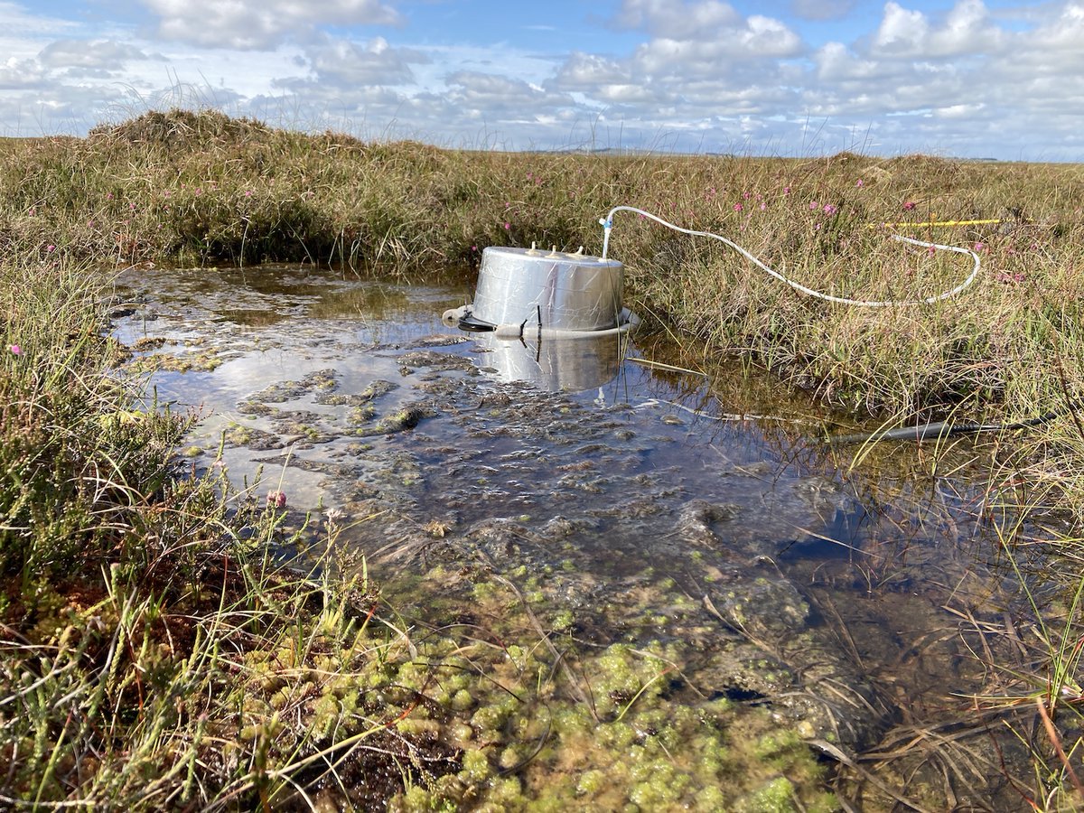 John King tweet media