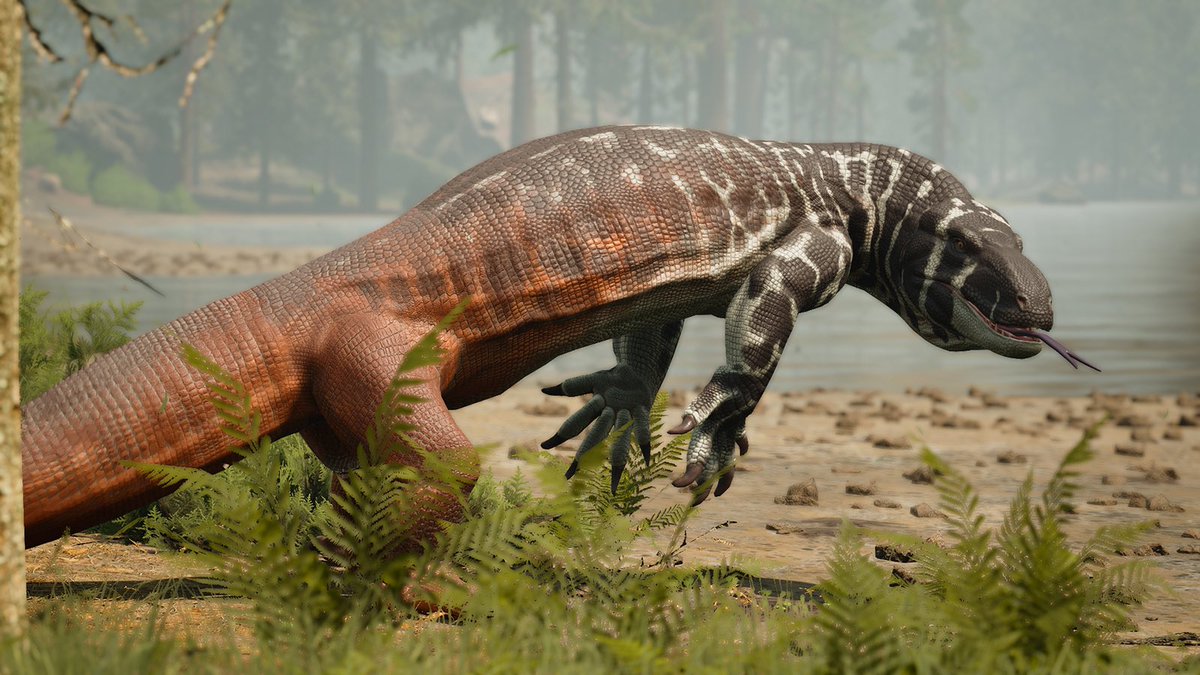 TM9380's tweet photo. I have found in my limited time playing Path of Titans that the medium sized carnivores are the most fun and least frustrating creatures to play overall. https://t.co/qEiFUqLjNr