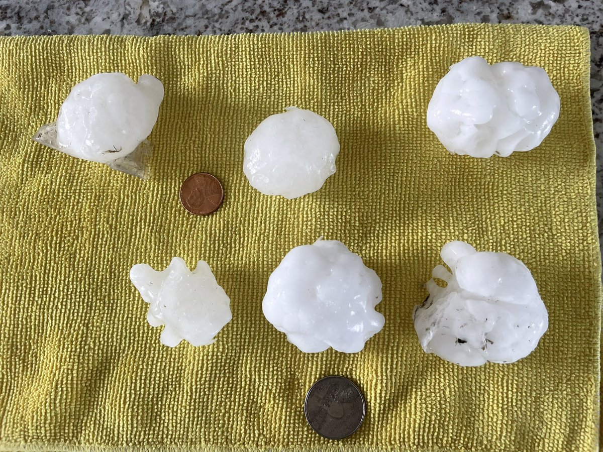 RT @TrstTheJrny24: Hail that fell at my parents last night #mnwx southeast #mn #minnesota #weather #storms https://t.co/yRI0QCeMM1