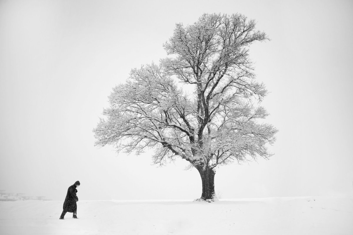 Hakan Aydın (@hakanaydinbursa) on Twitter photo <a href="/sendr0ck/">Sendrock</a> @TheCultSeries <a href="/JRNYart/">JRNYmag.eth</a> <a href="/WildFrontiers/">Wild Frontiers</a> <a href="/ahmetcaglar/">Ahmet ÇAĞLAR</a> <a href="/Murat_ilhan_NFT/">Murat İlhan</a> <a href="/CindemirFatih/">Cindemirfatih</a>
foundation.app/@hakanaydin/bn… <a href="/sendr0ck/">Sendrock</a> @TheCultSeries <a href="/JRNYart/">JRNYmag.eth</a> <a href="/WildFrontiers/">Wild Frontiers</a> <a href="/ahmetcaglar/">Ahmet ÇAĞLAR</a> <a href="/Murat_ilhan_NFT/">Murat İlhan</a> <a href="/CindemirFatih/">Cindemirfatih</a>
foundation.app/@hakanaydin/bn…