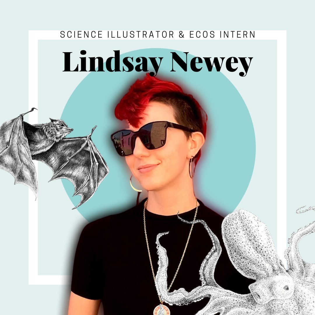 Emerging Creatives of Science tweet media