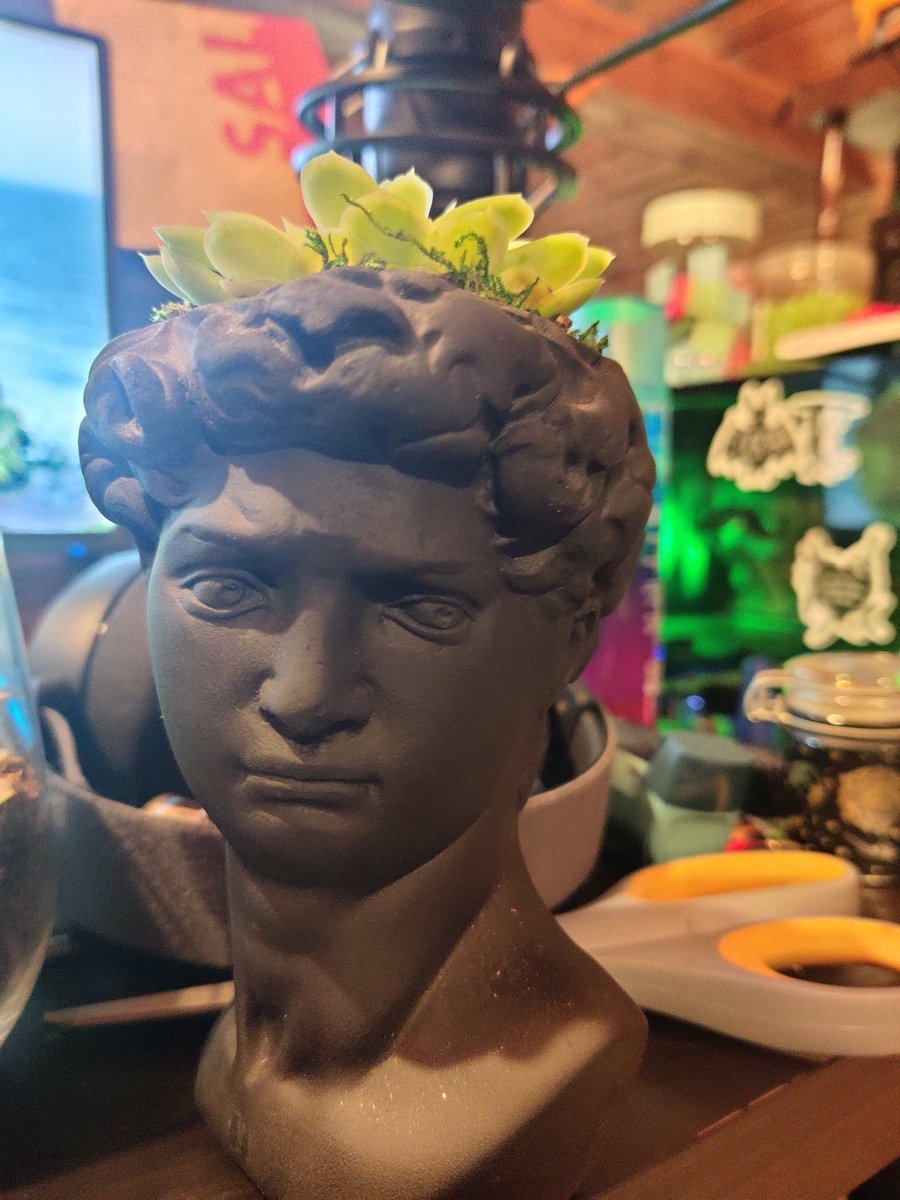 hannahlikeapuma's tweet photo. I adopted a new son.

Meet Arispotle :3 https://t.co/MktSBC8OFX