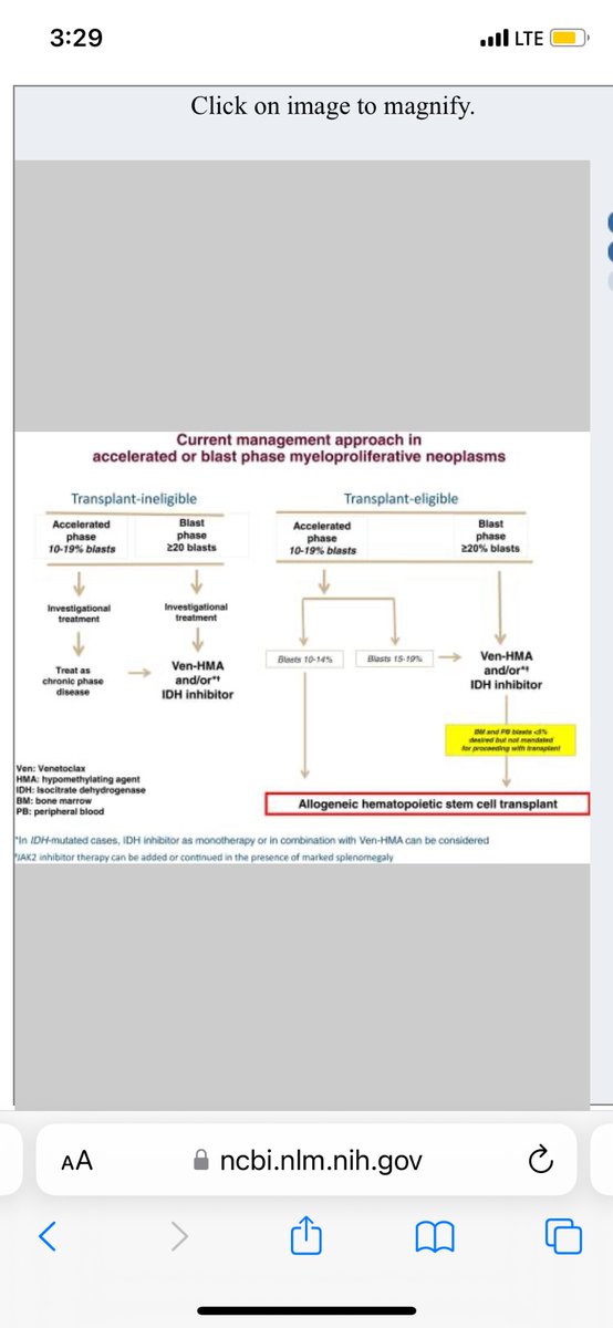 Check out our current treatment approach to MPN-BP nature.com/articles/s4140… #tefferi #mpnsm @MayoCancerCare @VincentRK @AlkaliDr @doctorpemm @MrinalPatnaik @BloodCancerJnl