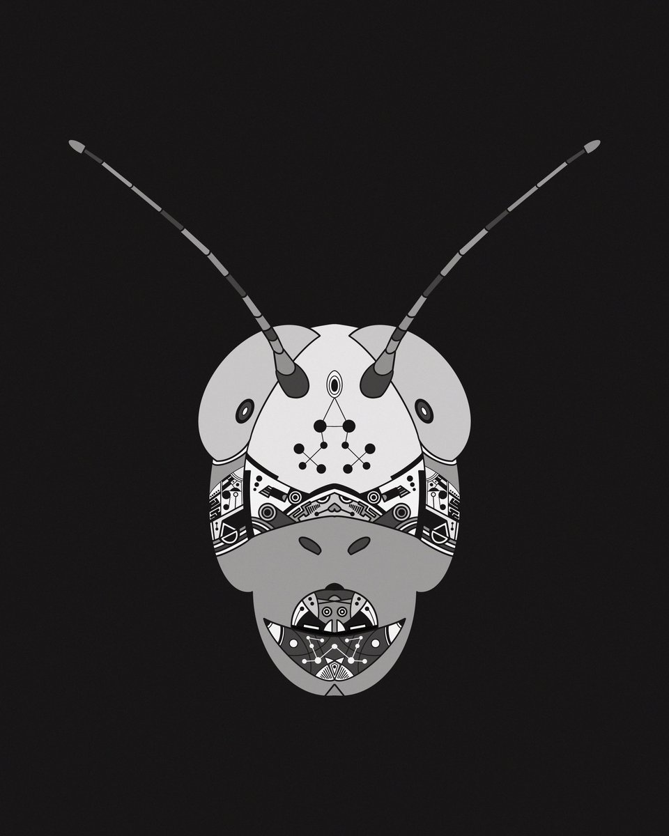 Grasshopper