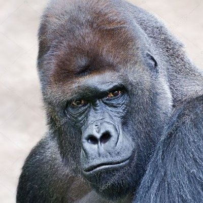 Fernando Salcedo (@suscojones) on Twitter photo 