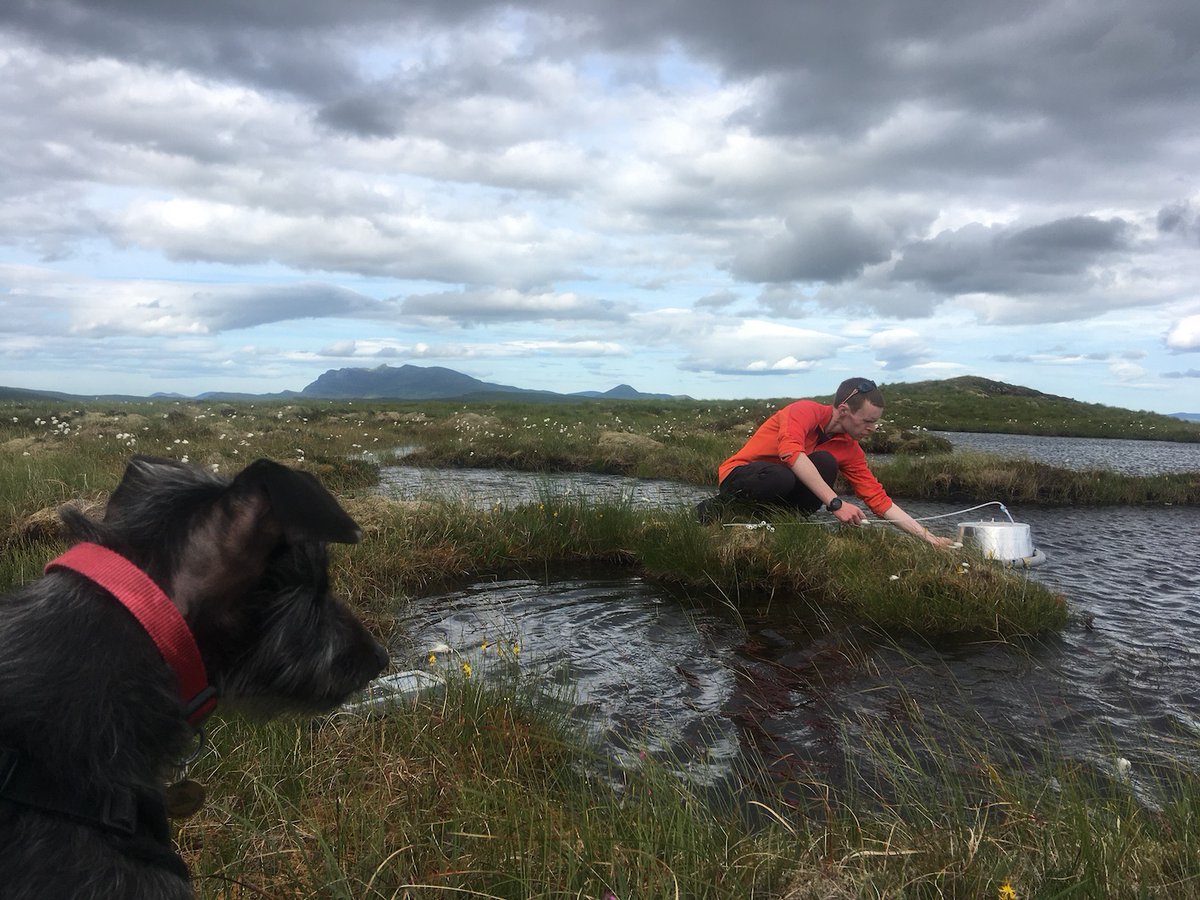 John King tweet media