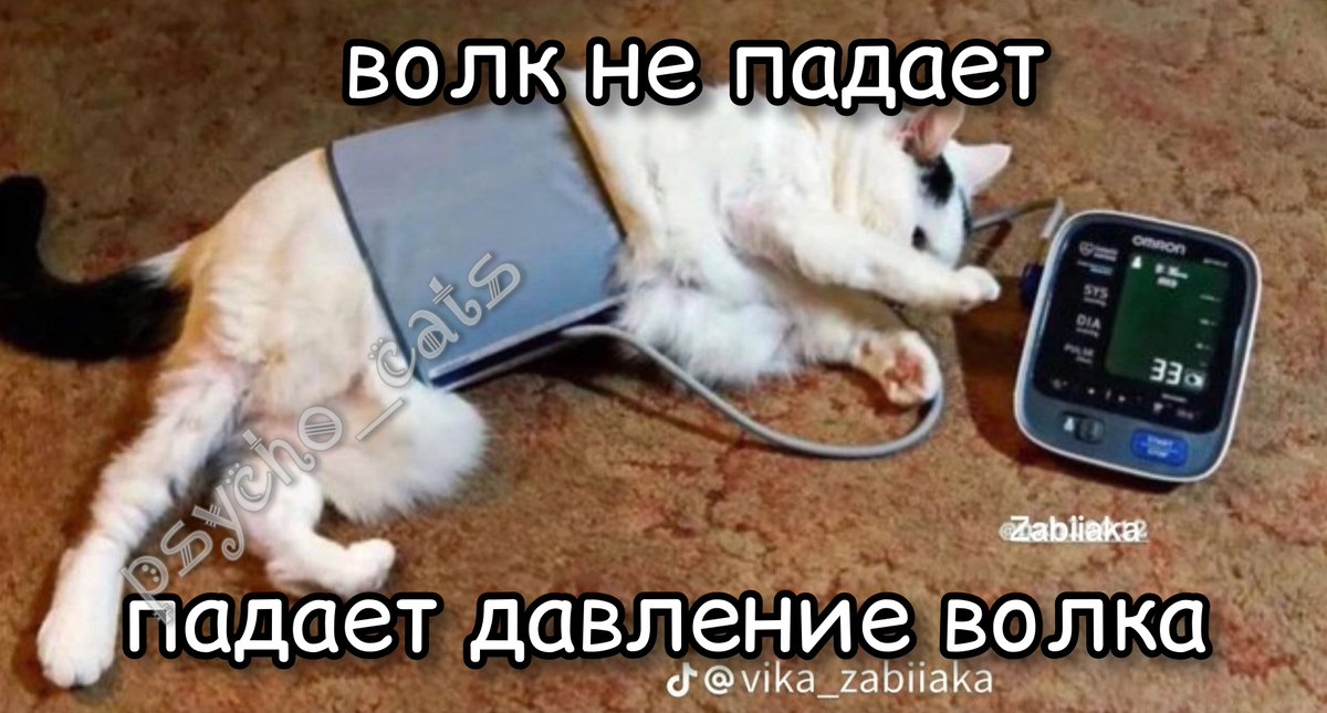 психокоты (@psycho__cats) on Twitter photo 