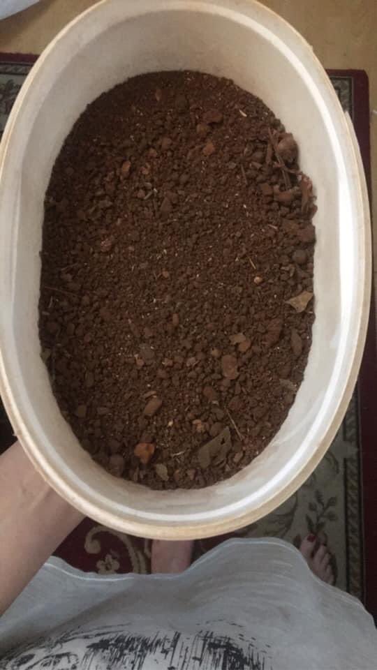 Emilly Nolan 🇿🇼 on Twitter "The weirdest thing I took with me when I