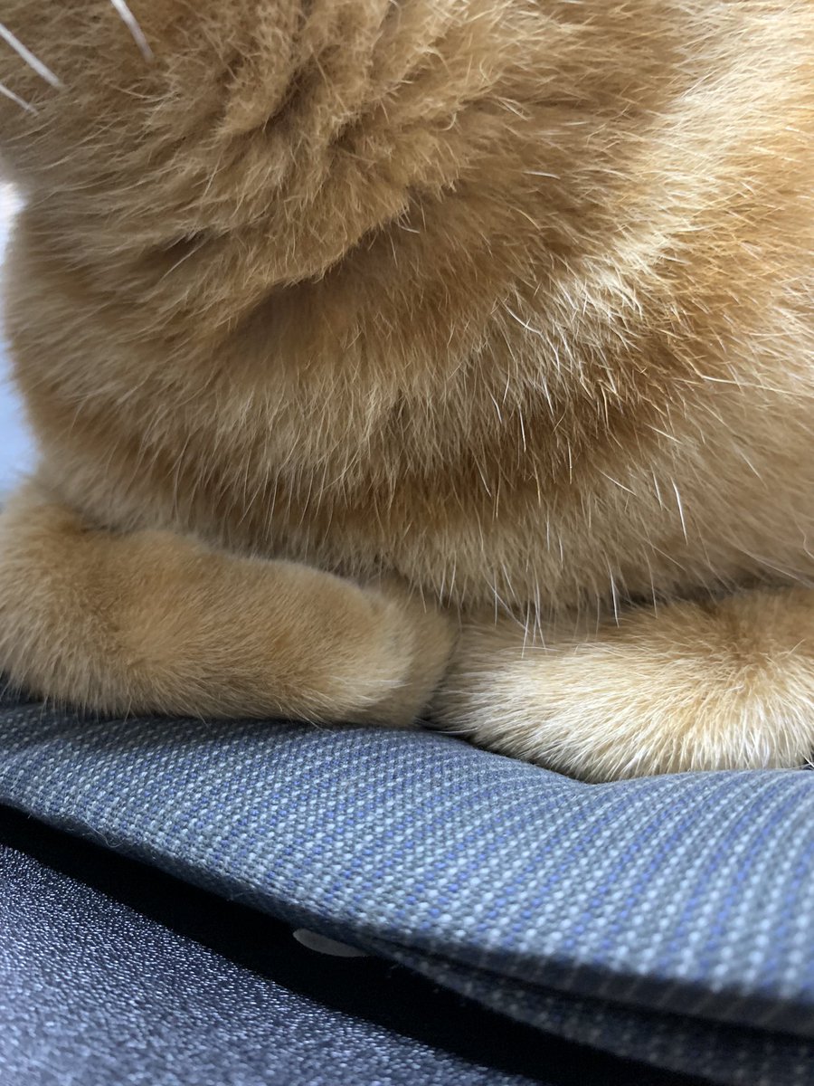 TaMu1721's tweet photo. ちっさくなってそこにおさまりたい https://t.co/JaiGYRe1IN