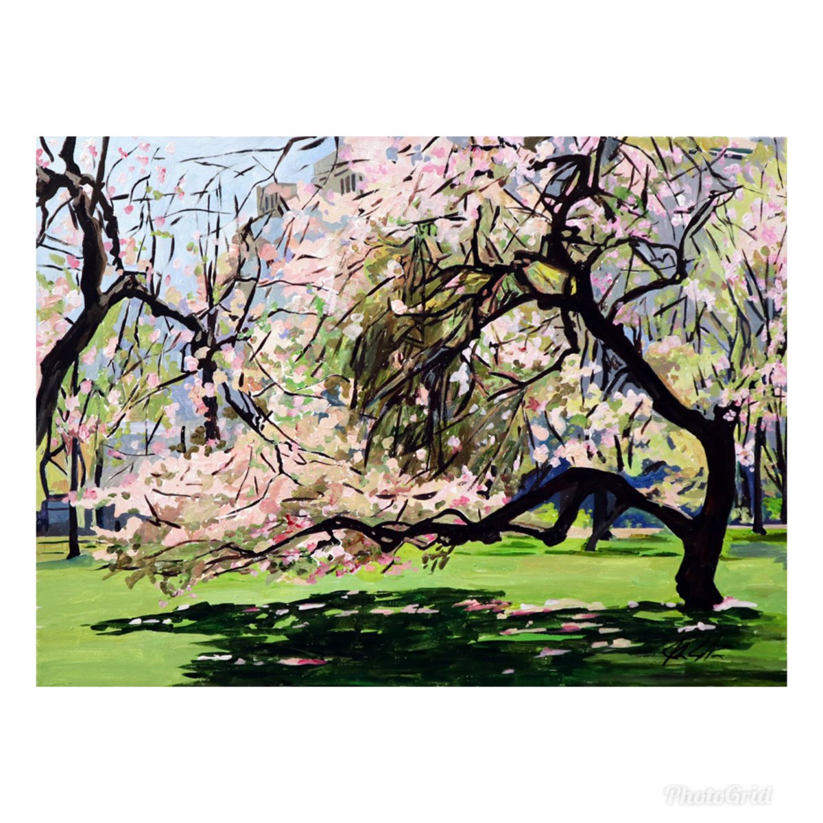 New painting. “Spring in Central Park”. 22” x 30” acrylic on canvas. It’s available. #art #artgallery #painting #nyc @centralparknyc #centralpark #springinnyc #trees