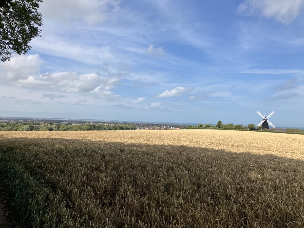 Beautiful #MTB tonight #Deal