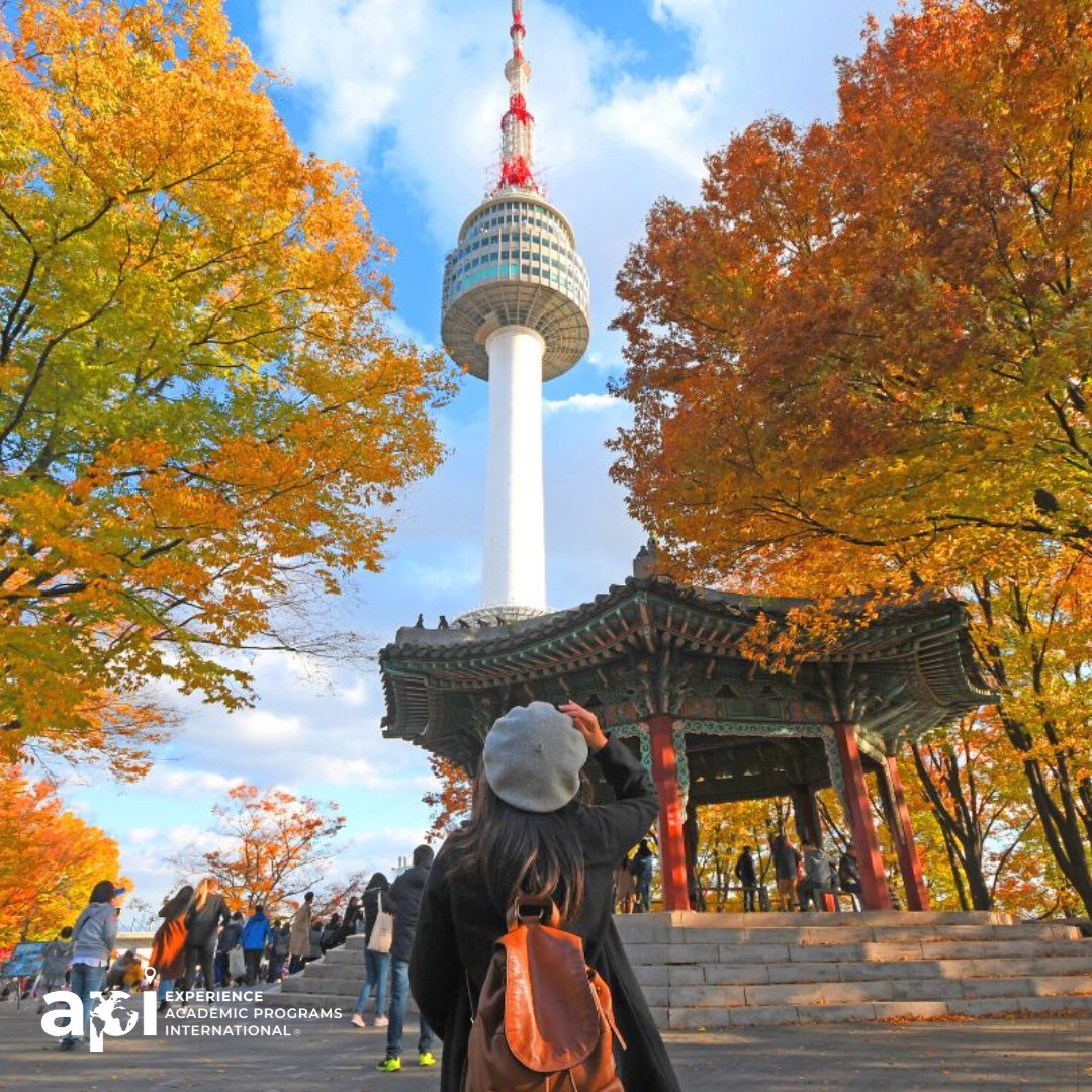 APIabroad's tweet image. Exciting News! 🌟API’s Got Seoul! ICYMI API proudly presents an incredible NEW program in Seoul, South Korea this Spring! 🇰🇷 
Learn more about this captivating program now: bit.ly/44WlGlv 
#APIExperience #APIAbroad #ISpyAPI