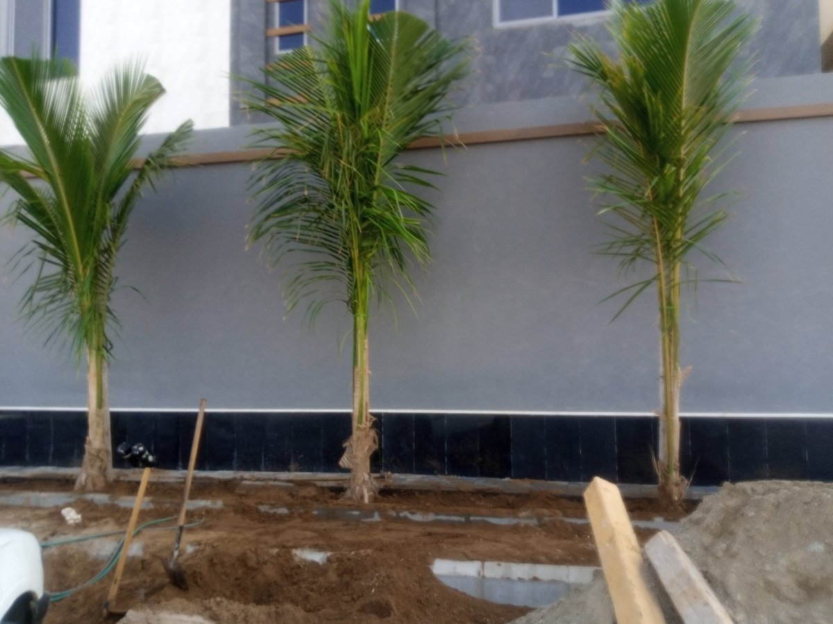 من اعمال المشتل 💪