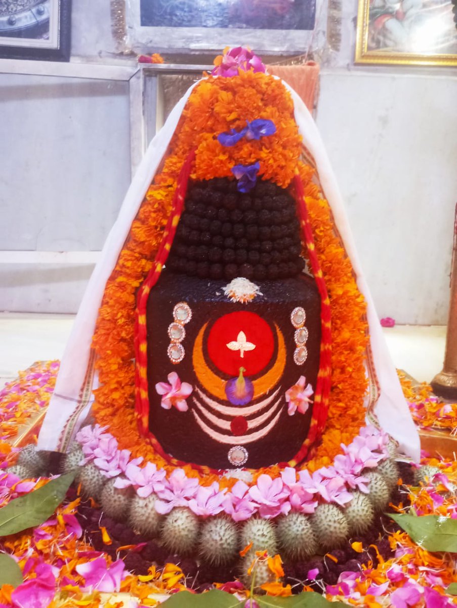 AjaySMishra4's tweet photo. 🙏🌹 जय जय हो🌹🙏 https://t.co/ObQPEvFgHv