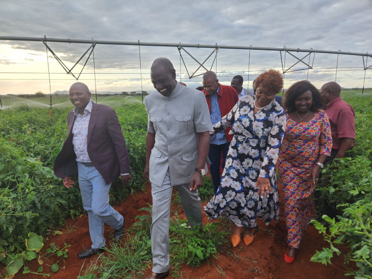 OleItumbi's tweet photo. Dealing with the Cost of Living in the farm...producing not protesting. https://t.co/kIzdGVUe7A