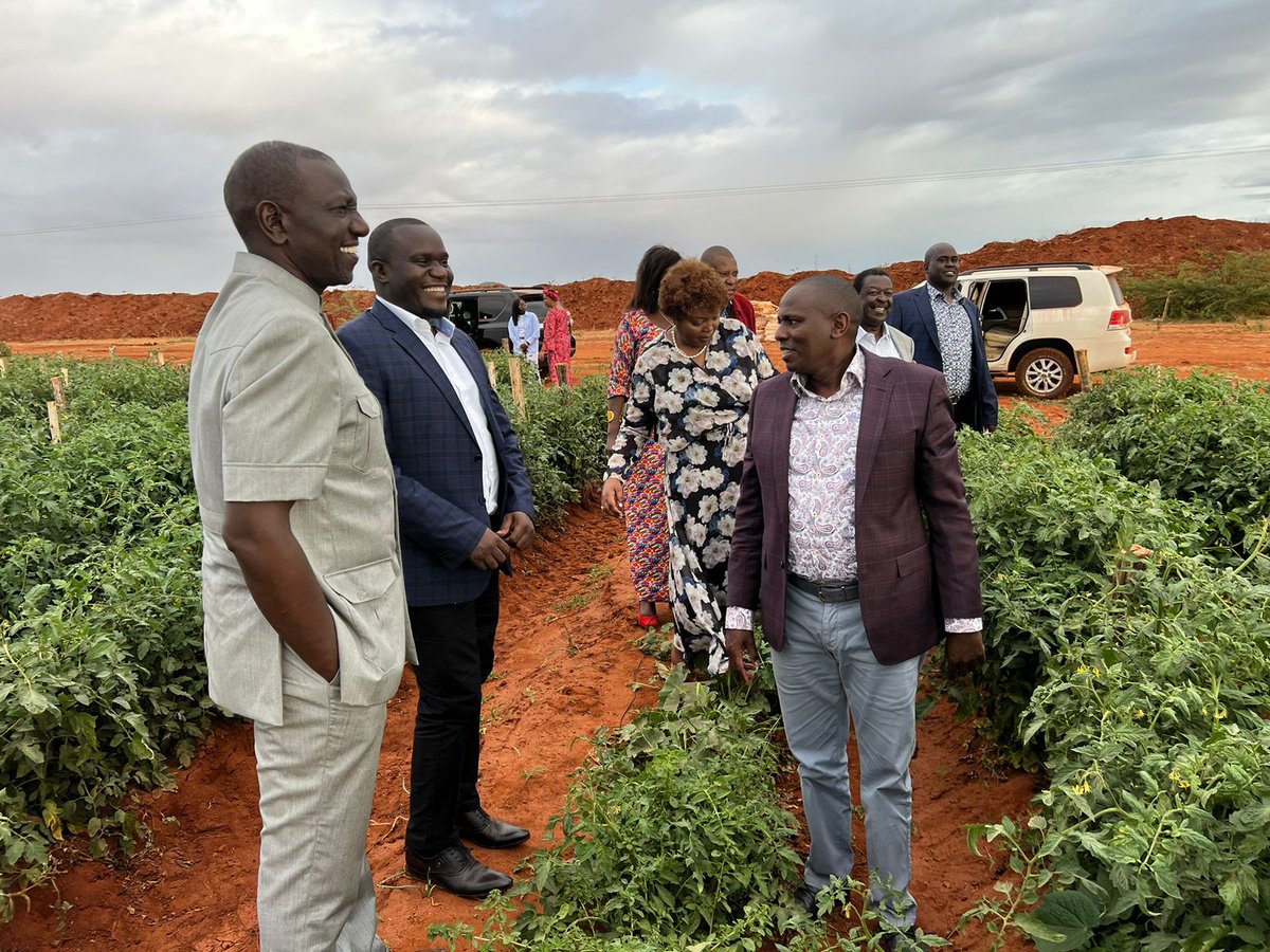 OleItumbi's tweet photo. Dealing with the Cost of Living in the farm...producing not protesting. https://t.co/kIzdGVUe7A