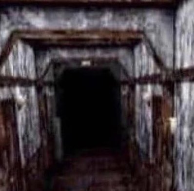 Pyrokitten6's tweet image. 