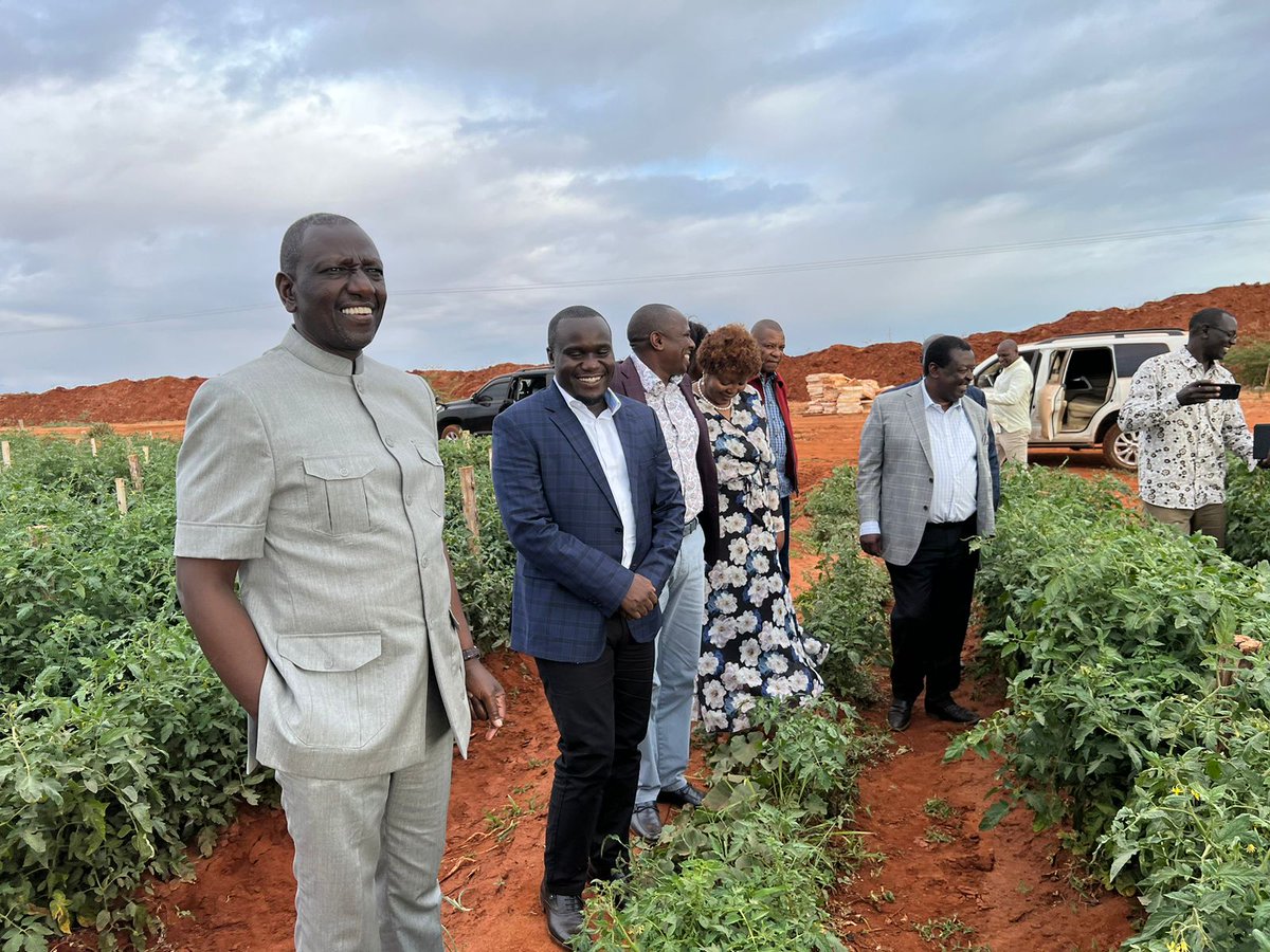 OleItumbi's tweet photo. Dealing with the Cost of Living in the farm...producing not protesting. https://t.co/kIzdGVUe7A