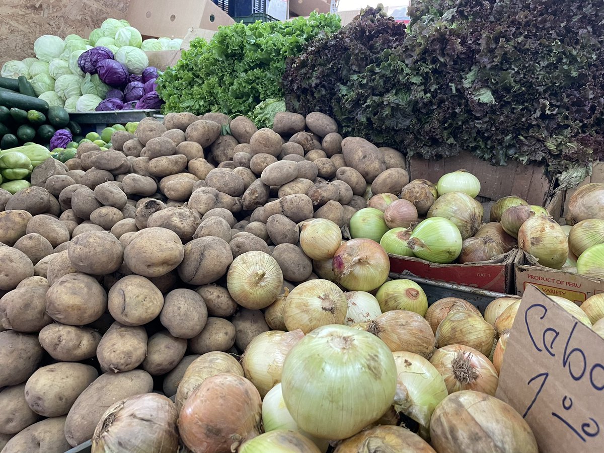 raisabanfield's tweet photo. Domingo de @mercapanama Panamá tiene todo para ser una potencia agroalimentaria y garantizar así la seguridad alimentaria de su población. 
El problema es la falta de visión con la que se lleva la rienda del Estado, vamos en dirección opuesta #panamavalemassinmineria https://t.co/rJsW8ZvLrN