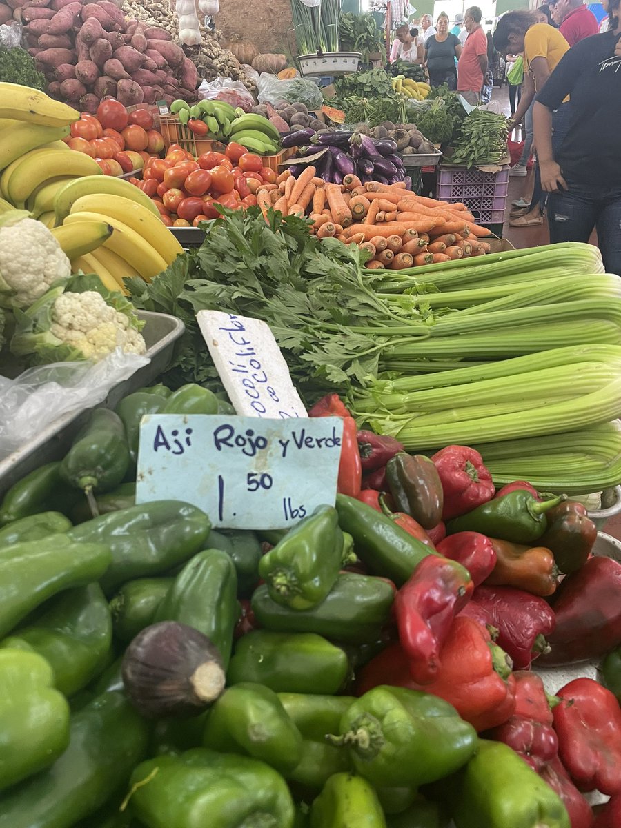 raisabanfield's tweet photo. Domingo de @mercapanama Panamá tiene todo para ser una potencia agroalimentaria y garantizar así la seguridad alimentaria de su población. 
El problema es la falta de visión con la que se lleva la rienda del Estado, vamos en dirección opuesta #panamavalemassinmineria https://t.co/rJsW8ZvLrN