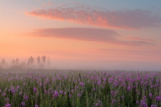 artindetails's tweet photo. misty morning https://t.co/FtnaEtSMx7