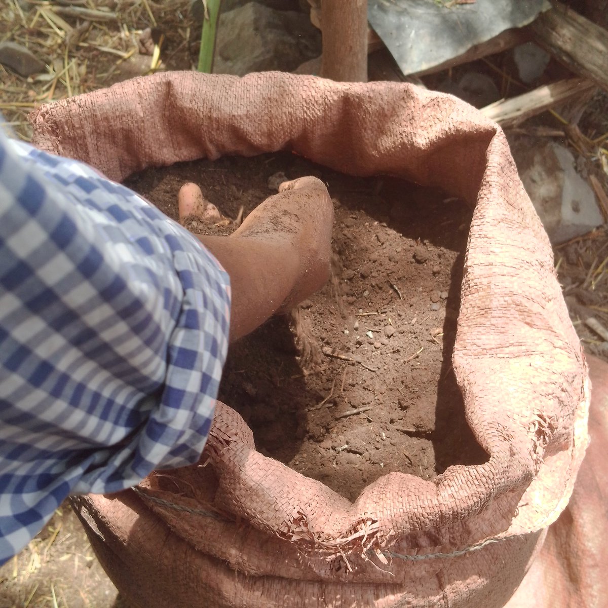Hailemariam_Kef's tweet photo. In my book I realized that our farmers are highly dependent on artificial fertilizers.This season,we faced bitterness.When you return back stumbled over by same stone of the morning, you-yourself is the 'stone'. AMHARA SHALL SET FREE FROM ARTIFICIAL FERTILIZERS DEPENDENCY.I VOW!. https://t.co/kRZAZwBpKN