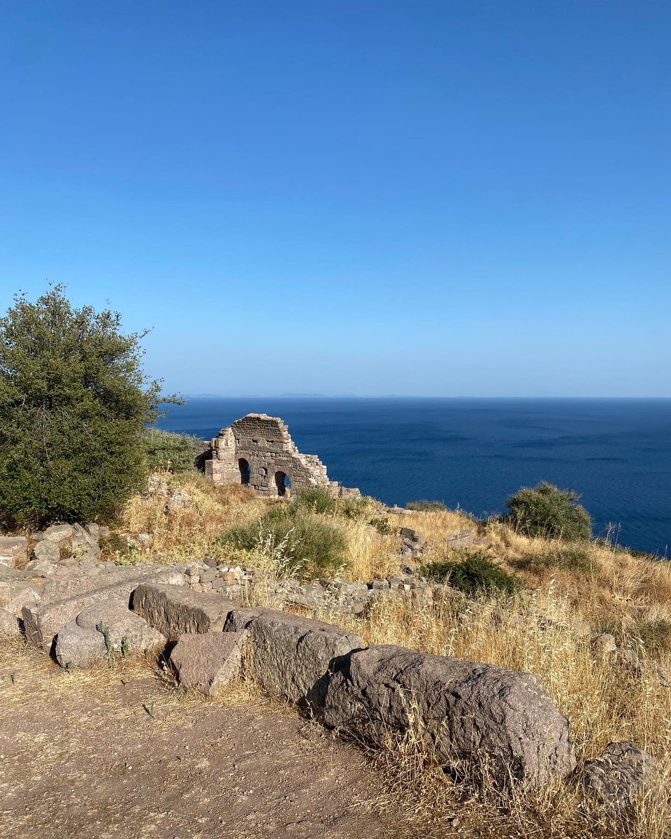 guardando davanti a lui le cose dell’isola di Lesbo qui, seduto sugli scalini di questo tempio dedicato alla dea Atena, Aristotele, ospite di Ermia, scrisse l’Etica (sì, ma quale?) e la Politica.