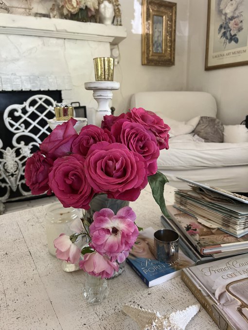Loving my summer roses https://t.co/gwgreHzE9G<a href="/tag/tiktok"class="tags"><span>#tiktok</span></a>