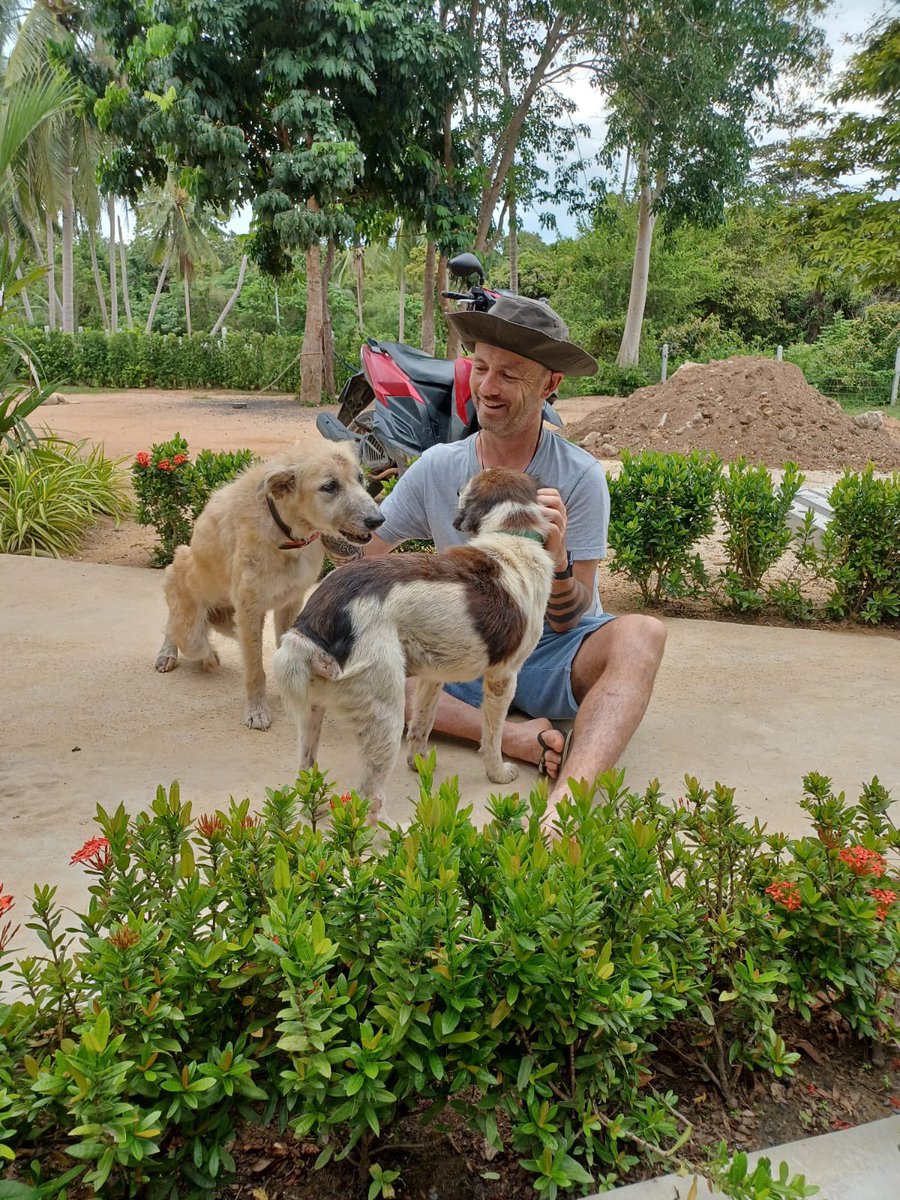 I feel amazing the last few days. As good as I’ve felt in years. But it wasn’t that way for most of the last month. You can hide a lot online and in real life and that’s what this post is about…

I had pressure from Bambi dying, the 5 dogs traveling like Whacker and Rodney,