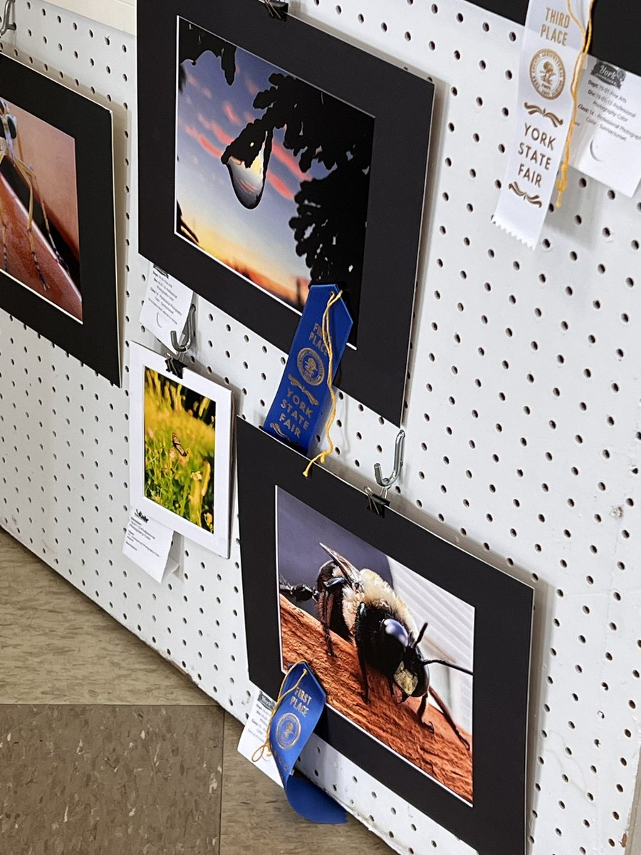 Chris C. tweet media