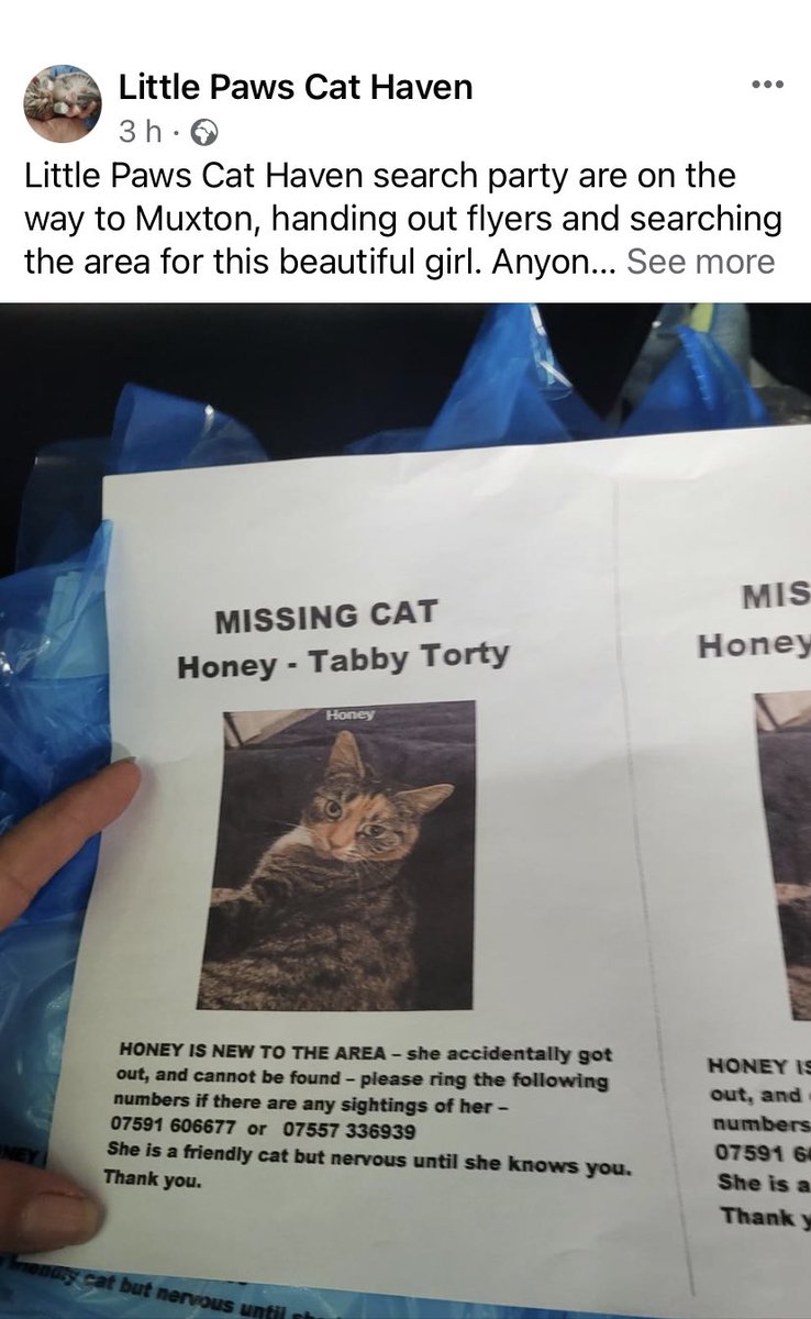 littlepawsbilly's tweet photo. We searched but no sign of her 😿😿 it’s been a week…
#MissingCat #Lost #Muxton #SHROPSHIRE #CalicoCrew #AdoptDontShop #cats
(Lots of # to spread the message)
Please retweet ❤️🐾 https://t.co/Gu92DEZ7Bc