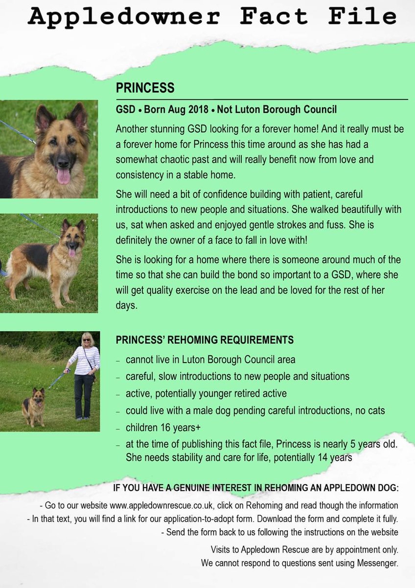 This Princess is looking for a home where she will be treated like royalty!
If you have a genuine interest in adopting an Appledown dog, you will need to complete an application form: appledownrescue.co.uk/rehoming.html

#GermanShepherd #rescuedogs #dogsoftwitter