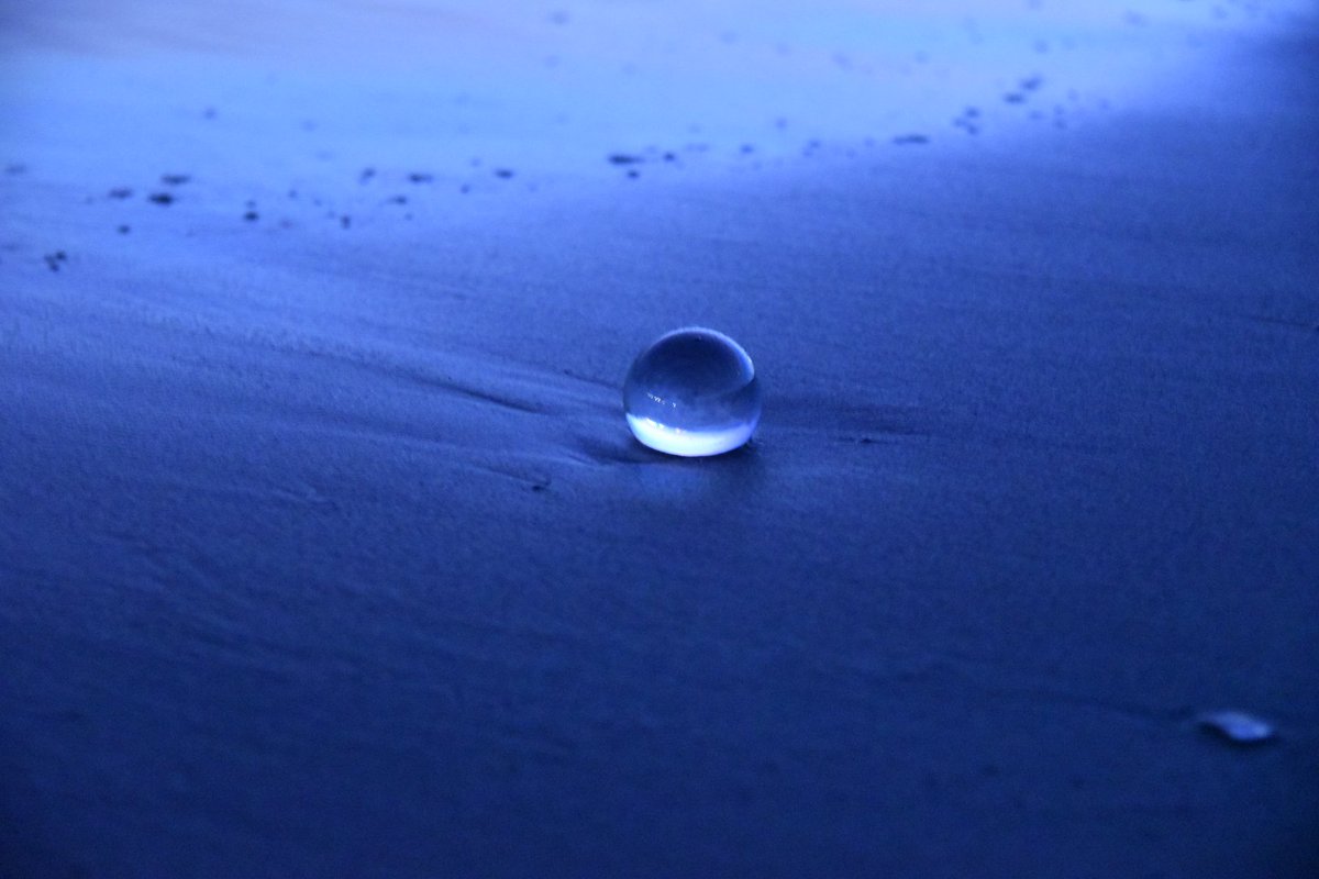 19Tach19's tweet photo. いつもありがとうございます
気ままに写真をツイートしています
日常的な出来事、雑談や書籍の感想なども呟きます
よろしくお願いします
#神奈川 #横浜 #桜木町 #湘南 
#7つの習慣 #嫌われる勇気
#Nikon #Z6 #Xperia
#NIKKOR #SIGMA #TAMRON https://t.co/ZyO1k41ZkR