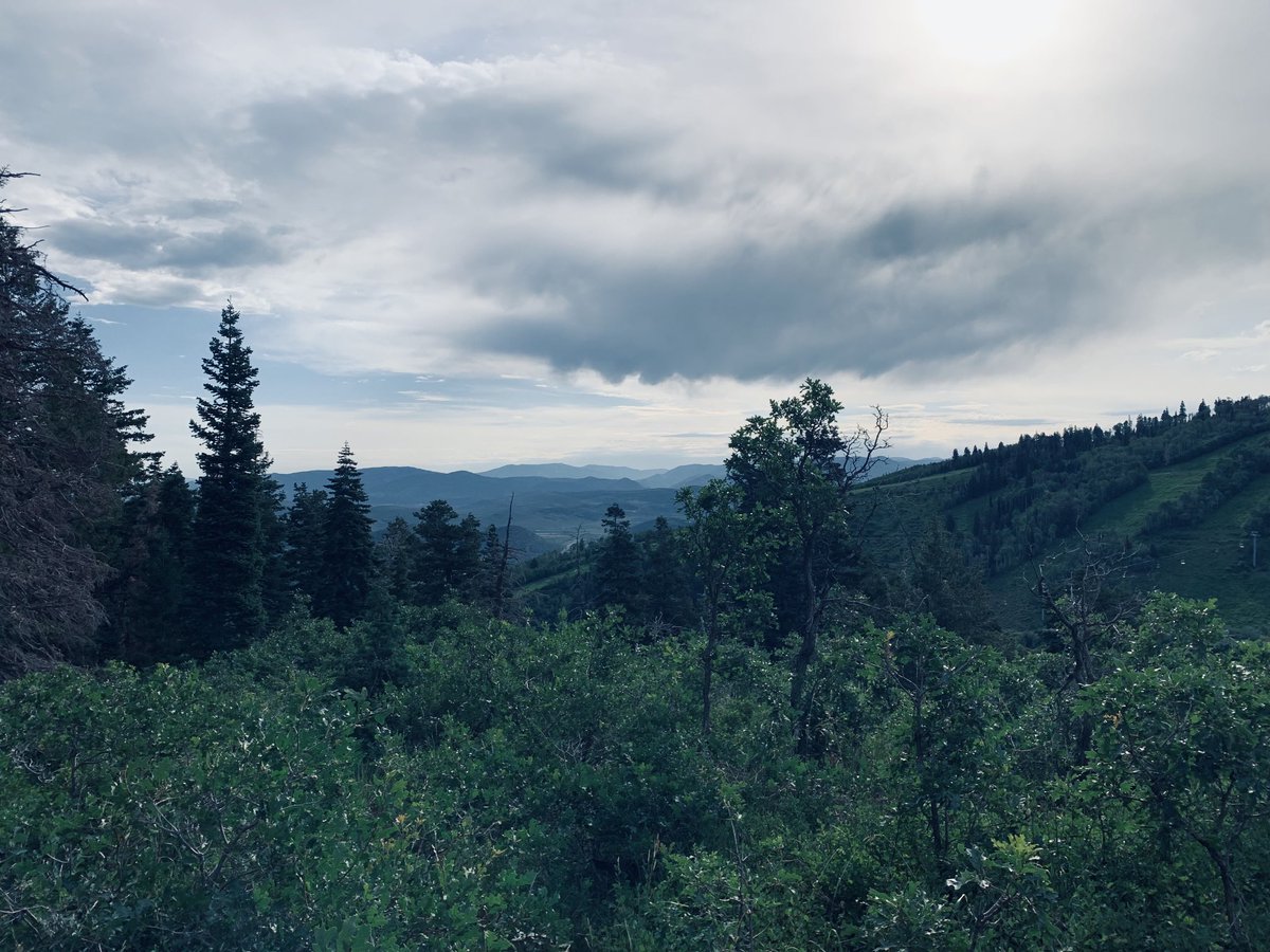 rollawayjim's tweet image. #uintas from the #wasatch
