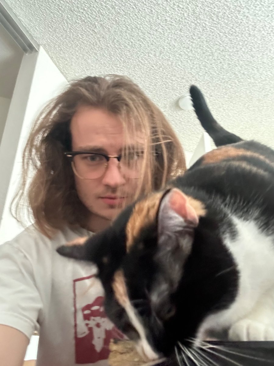 f_sitko's tweet photo. Bastard cat kept blocking the screen so I couldn’t play football manager https://t.co/A72w9ssPUe