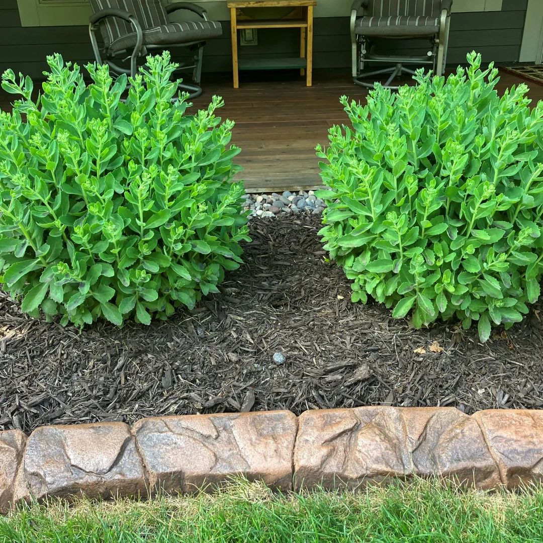 qualitycurbing's tweet photo. With the tools at our disposal and years of experience, we're here to deliver the incredible landscape curbing results that you deserve! https://t.co/3oWuhdEn3M
