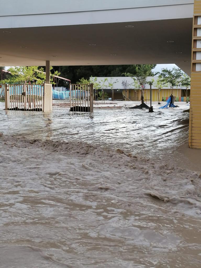 <a href="/Jorge_Azcon/">Jorge Azcón</a> #porunmariazambranoseguro