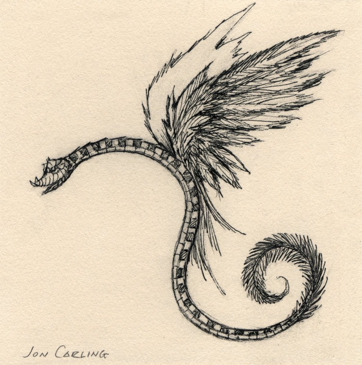 RT @JonCarling: flying snake https://t.co/jVZpbii0vB