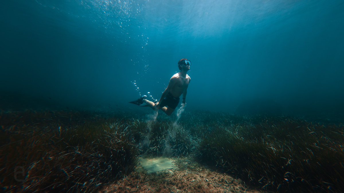 De nouveaux challenges en perspective cet été 📷 💧

Avec la Osmo Action 3 de <a href="/DJIGlobal/">DJI</a> 
Édité avec <a href="/Lightroom/">Adobe Lightroom</a>