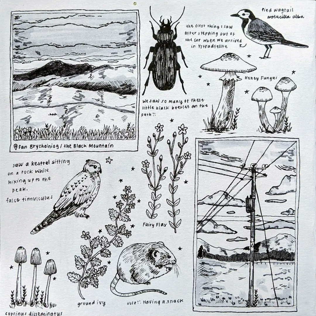 goblintoad's tweet image. it is my 21st bday today and as a gift can i ask for people to rt my art .. and maybe even follow if u like it !!