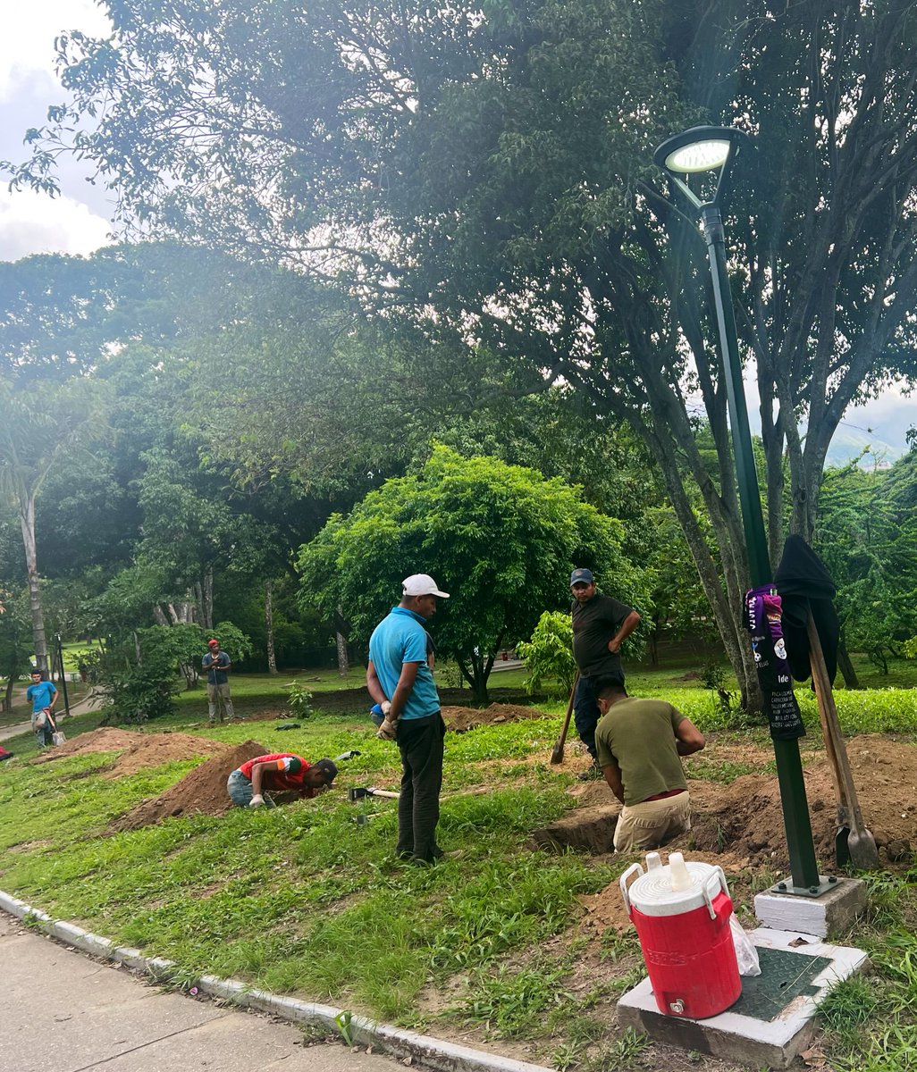#23Jul #ParqueDelEste
@gabyarocha: Están sembrando 100 árboles: urapes, colas de pescado, apamates, araguaneyes.

En 2022 le hicieron tratamiento fitosanitario a mil árboles, ¡y van a reanudar esa labor!

Para los que queremos al Parque del Este 🌳 esta es #OtraBuenaNoticia.…