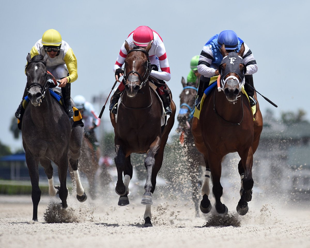 GulfstreamPark's tweet photo. Demar's Legacy and @EdwinGonzalz1 (red cap) prevail in the first race, @markecasse trains for KEM Racing Stable. #GulfstreamPark #RoyalPalmMeet https://t.co/XiF1WNl9gs