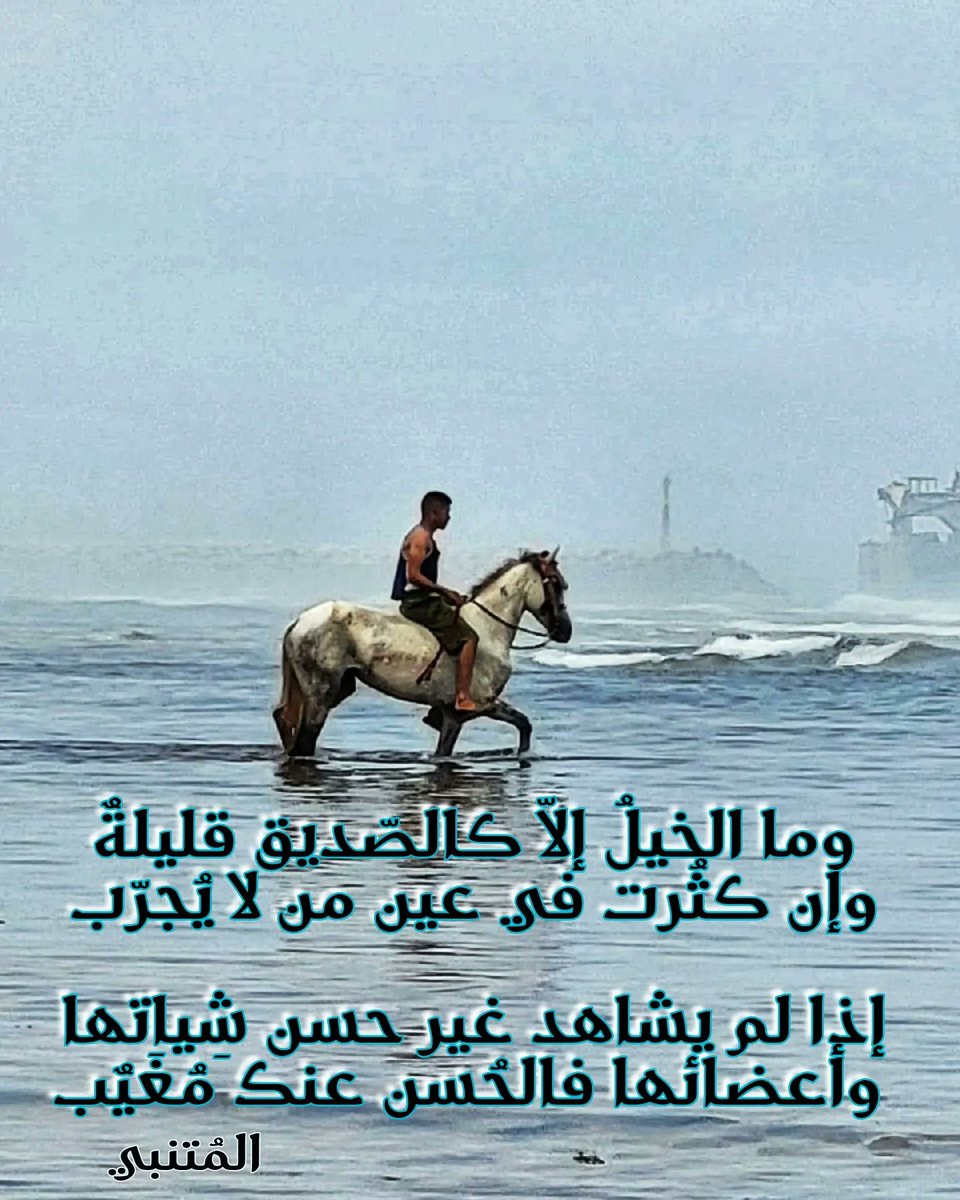 flora_Morocco's tweet photo. فـنّ التبـوريـدة ..ثـرات مغـربـي أصيـل..🇲🇦
(الصـور بعـدسـة جـوّالـي..)
حيّـا اللّـه مـن يتـابعنـي.. https://t.co/cVZVQfwMN4