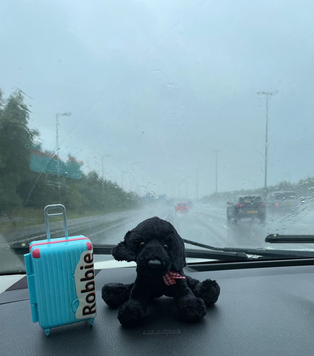 mini_robbie's tweet photo. Here are the pictures from my first adventure of the summer!! Thank you to Mrs. Dean and her family for letting me join in. So, it's time to start guessing! WHERE AM I?? https://t.co/USpuDG4KgJ