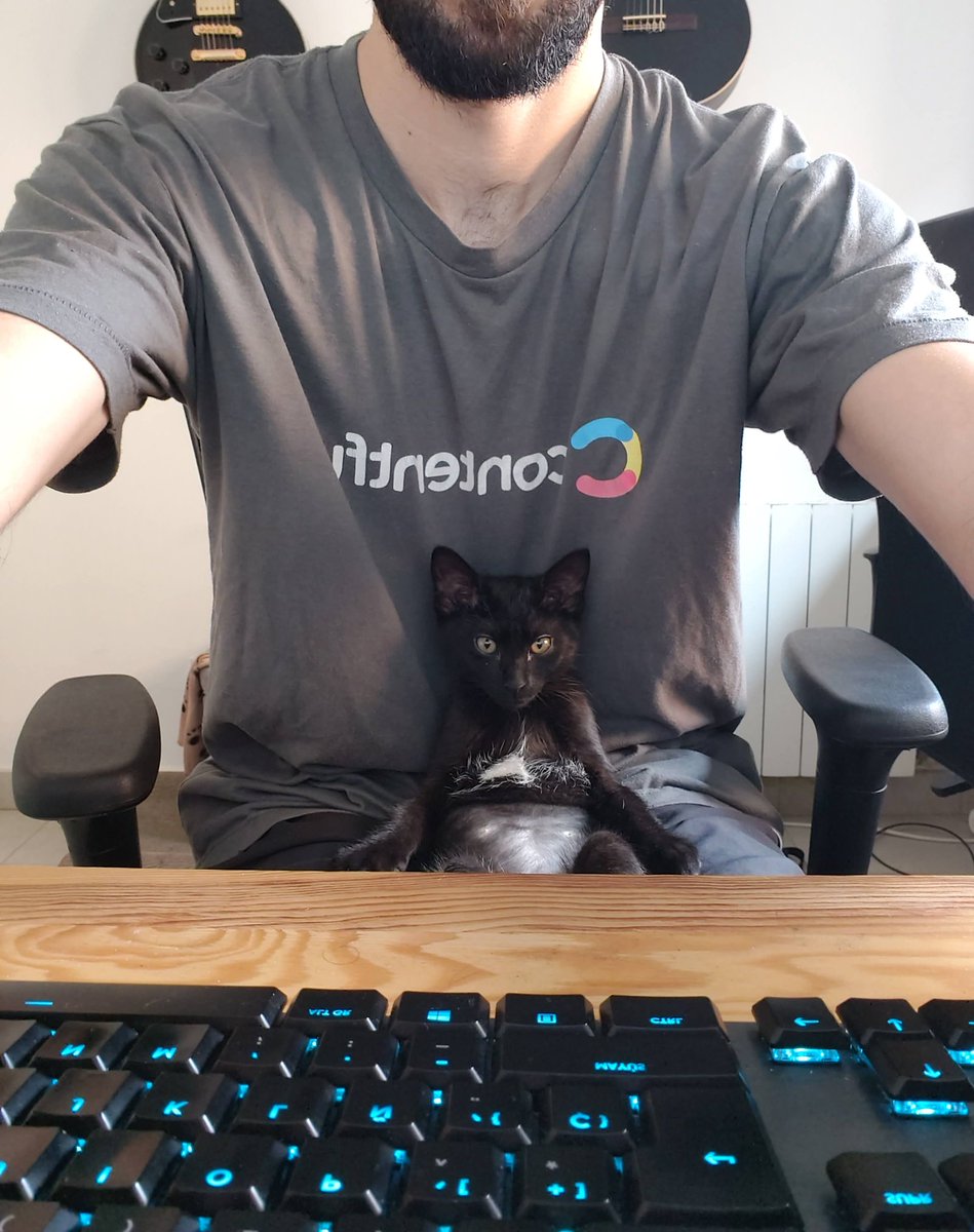 fbuireu's tweet photo. @TheJackForge Meet Qwerty #CatsOfTwitter https://t.co/kAZOFyFiCu