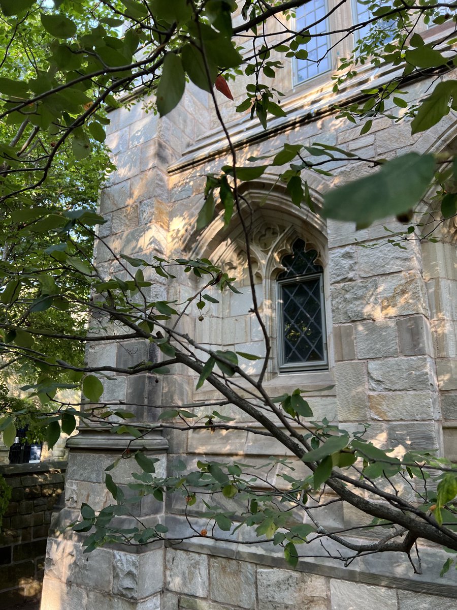 BillingsleyMd's tweet photo. Walked to weekend rounds ⁦@YNHH⁩ ⁦@YaleCancer⁩ and saw these sites in the way.   ❤️summer in New Haven!  #yalesummer ⁦@YaleSurgery⁩ https://t.co/2u6kvuU1I9