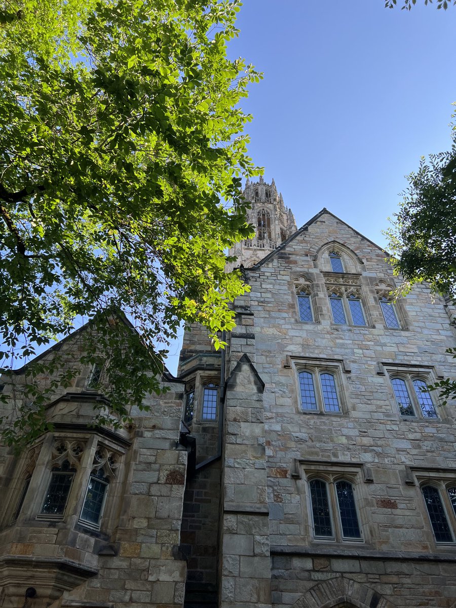 Kevin Billingsley MD, MBA (@billingsleymd) on Twitter photo Walked to weekend rounds <a href="/YNHH/">Yale New Haven Hosp</a> <a href="/YaleCancer/">Yale Cancer Center</a> and saw these sites in the way. ❤️summer in New Haven! #yalesummer <a href="/YaleSurgery/">Yale Surgery</a> Walked to weekend rounds <a href="/YNHH/">Yale New Haven Hosp</a> <a href="/YaleCancer/">Yale Cancer Center</a> and saw these sites in the way. ❤️summer in New Haven! #yalesummer <a href="/YaleSurgery/">Yale Surgery</a>