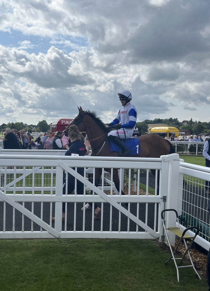 A great afternoon at @stratfordraces but it wasn’t to be for #CarrigeenKampala against the heavy odds on McCain runner . 42 members of @NH_racingclub were cheering her on. Great club. Thanks @AndySto72678256 for the hospitality for the 3 of us. @FOBRacing